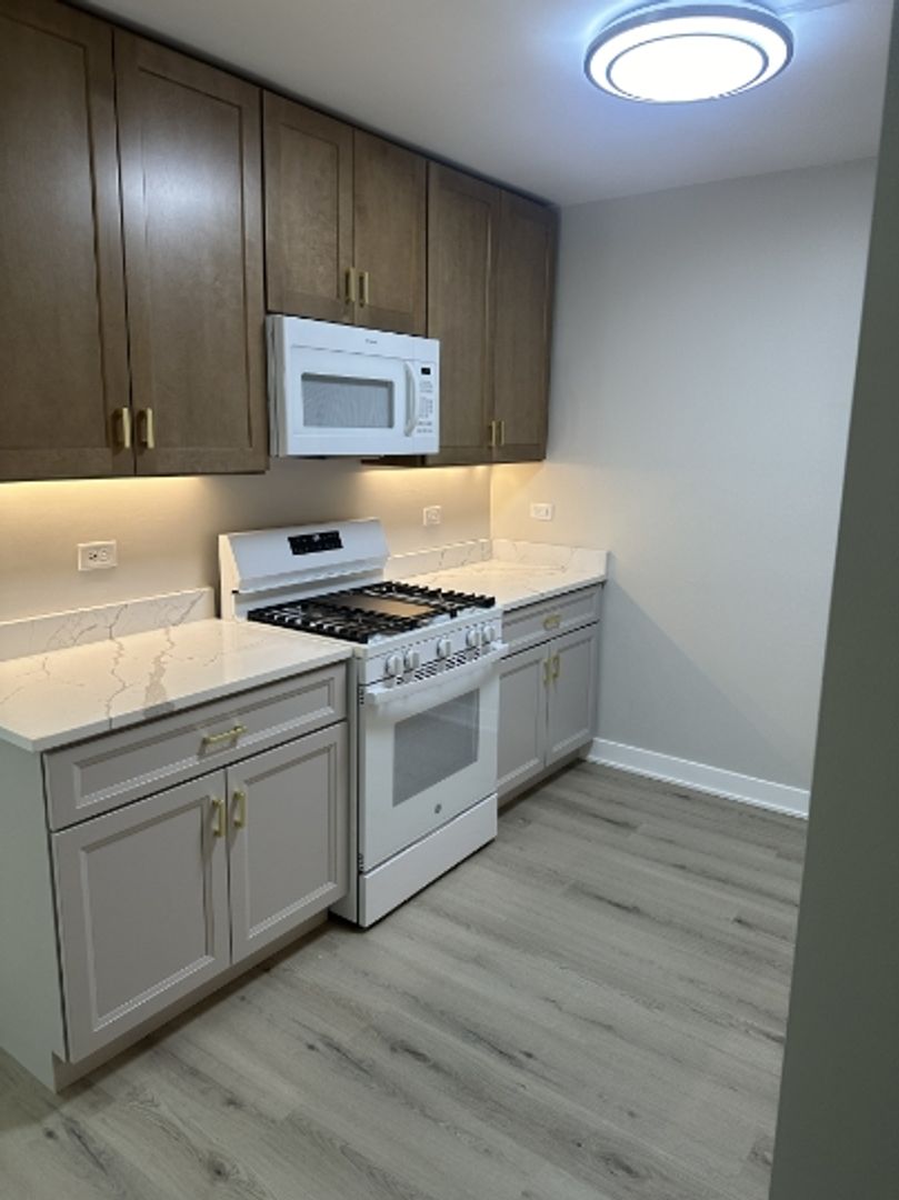 Melrose Park Apartment: 1618-20 Division Street