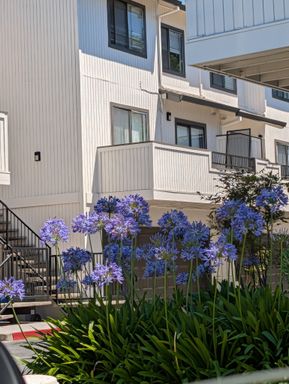 BEAUTIFULLY UPGRADED VALLEJO CONDO WITH TWO-CAR GARAGE! – photo 1