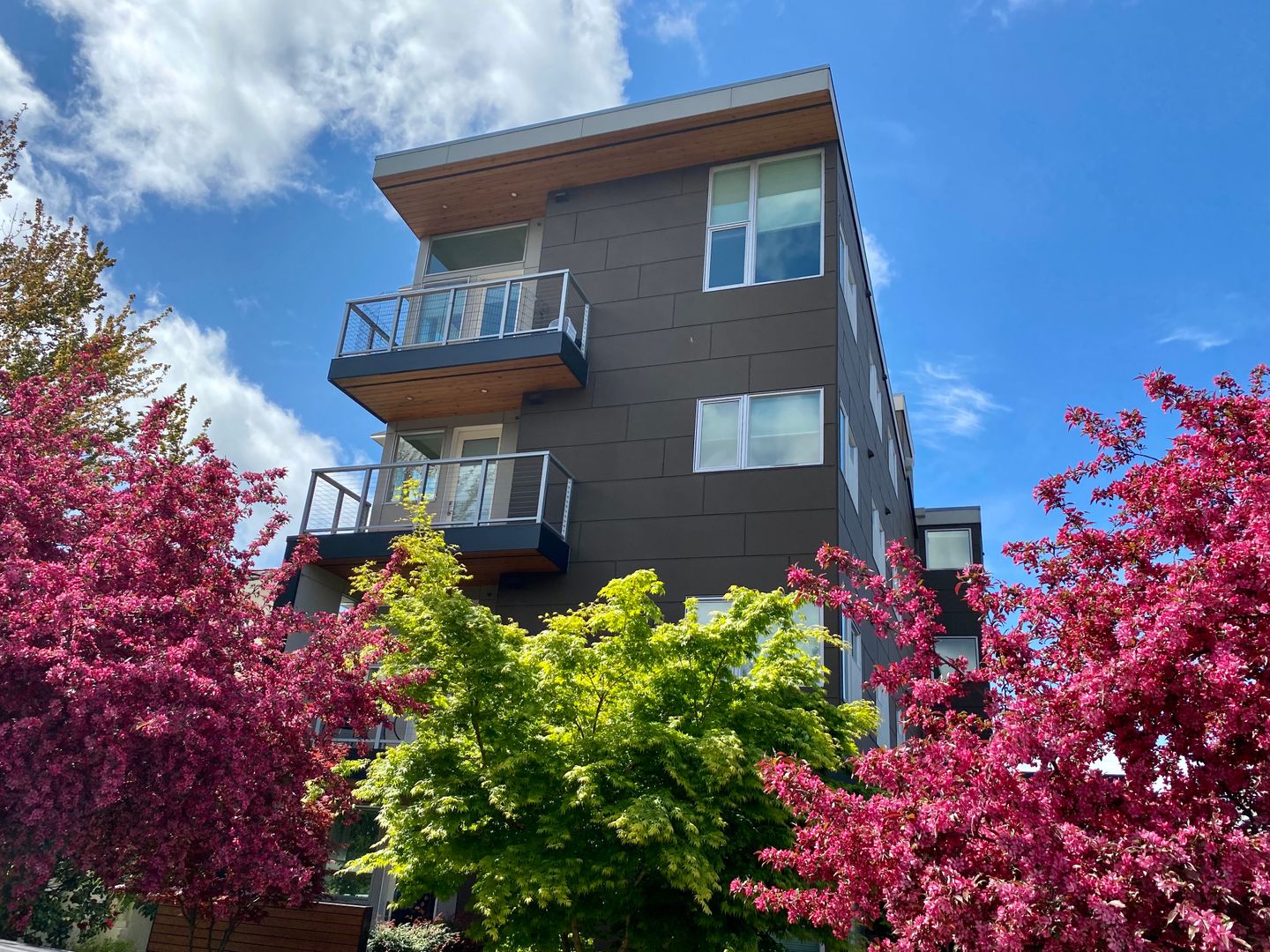 Seattle Apartment: 2351 Franklin Ave. E.