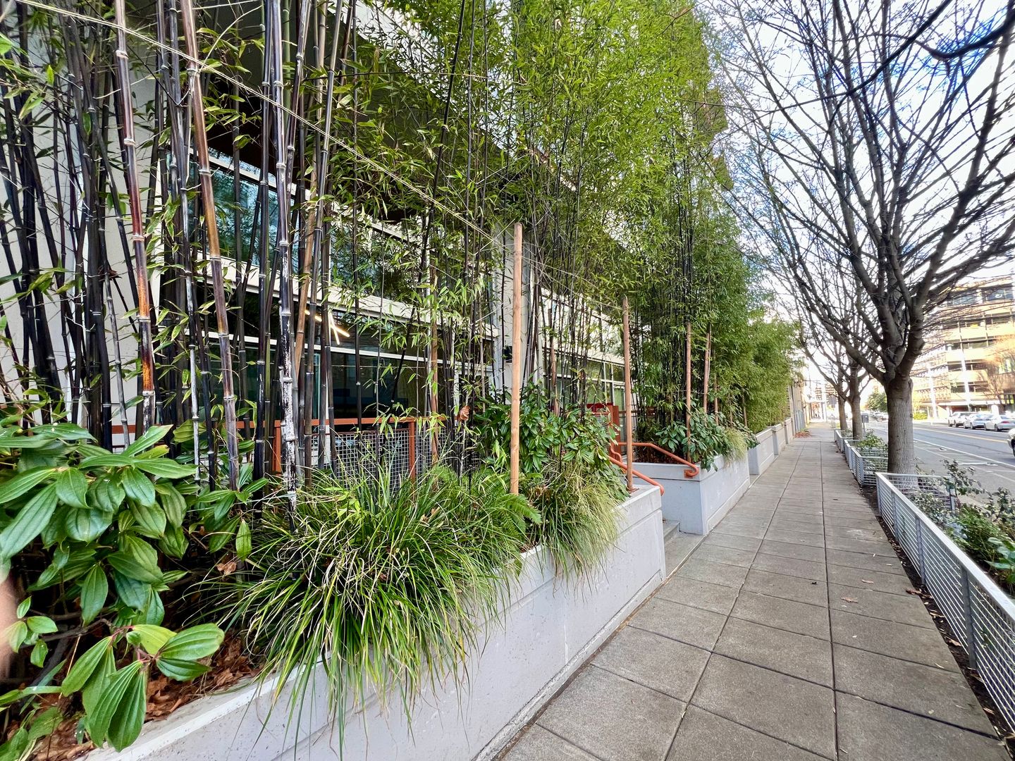 Seattle Condo: 401 9th Ave N #316 - Veer Lofts #316