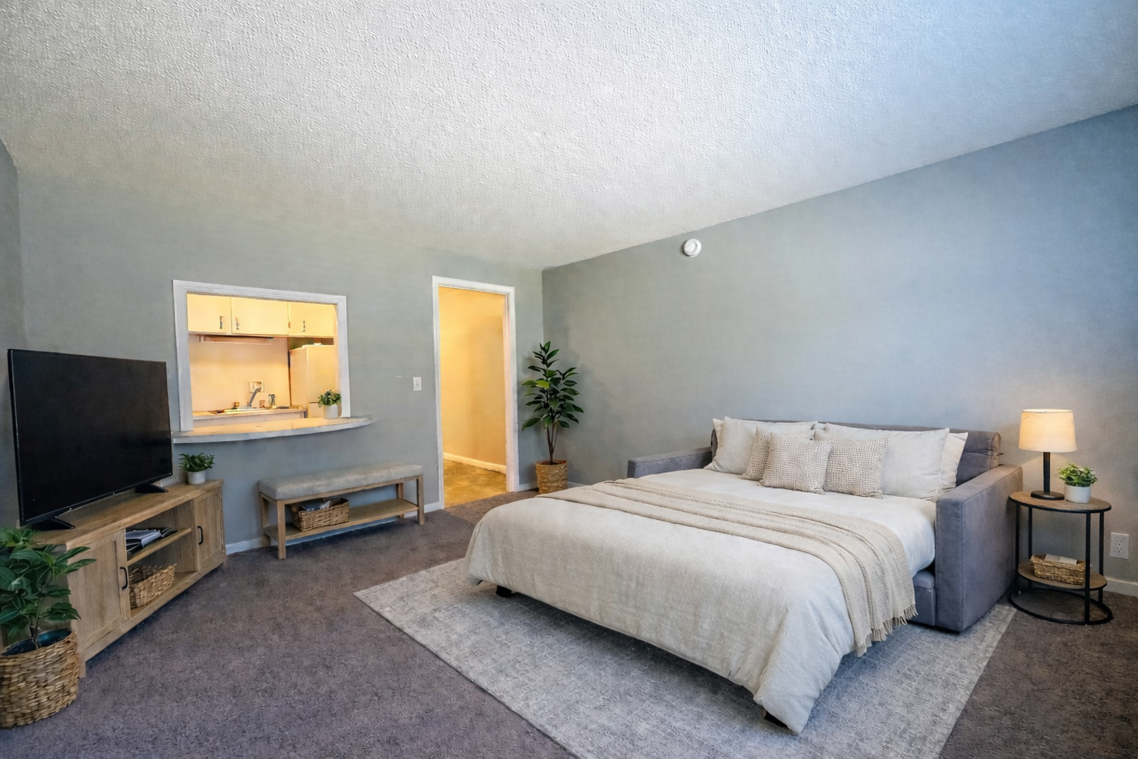 Franklin Apartment: 76-80 Terrace Rd