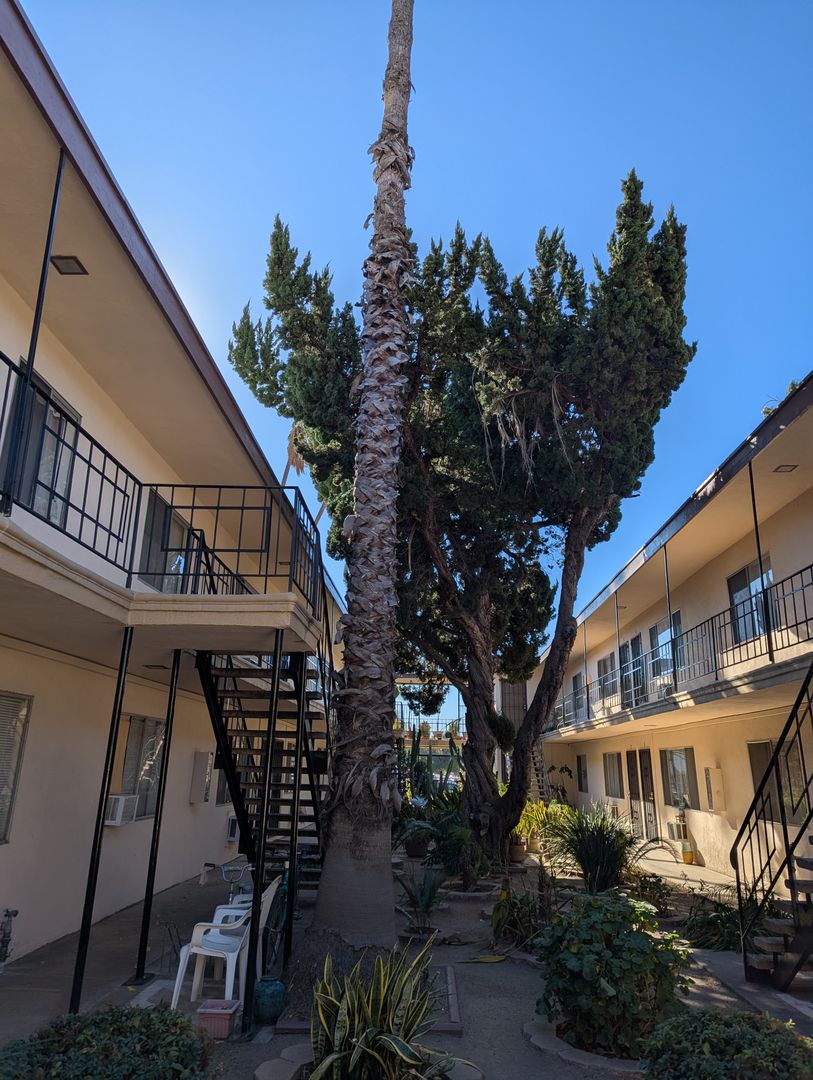 GLENDORA Apartment: 115 E MEDA AVE.