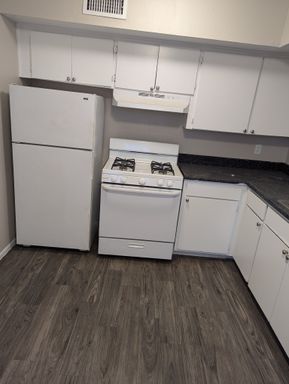 HALF OFF THE RENT FOR THE FIRST THREE MONTHS | One Bedroom Apartment Home | Move In Special on Approved Applications – photo 1