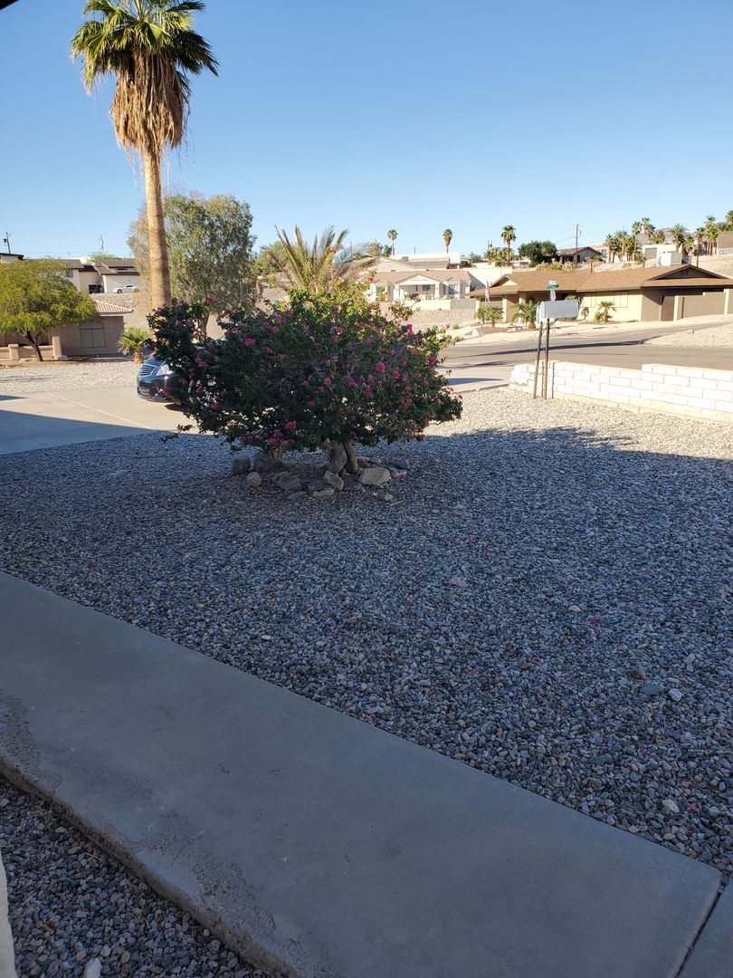 Opossum Dr. - 311 Lake Havasu City AZ 86404 - Photo 3