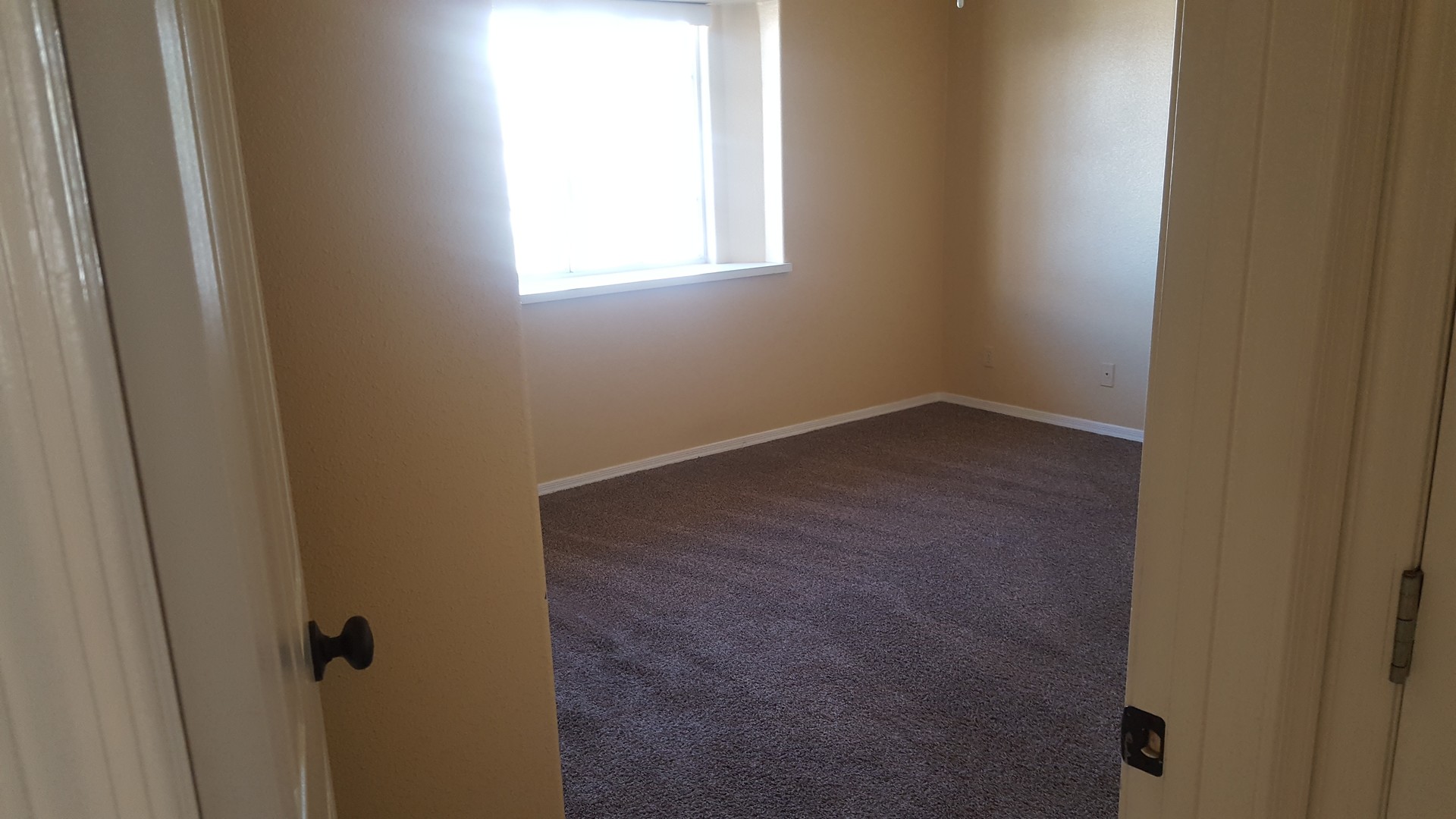 3775 Bear Drive Lake Havasu City AZ 86406 - Photo 9