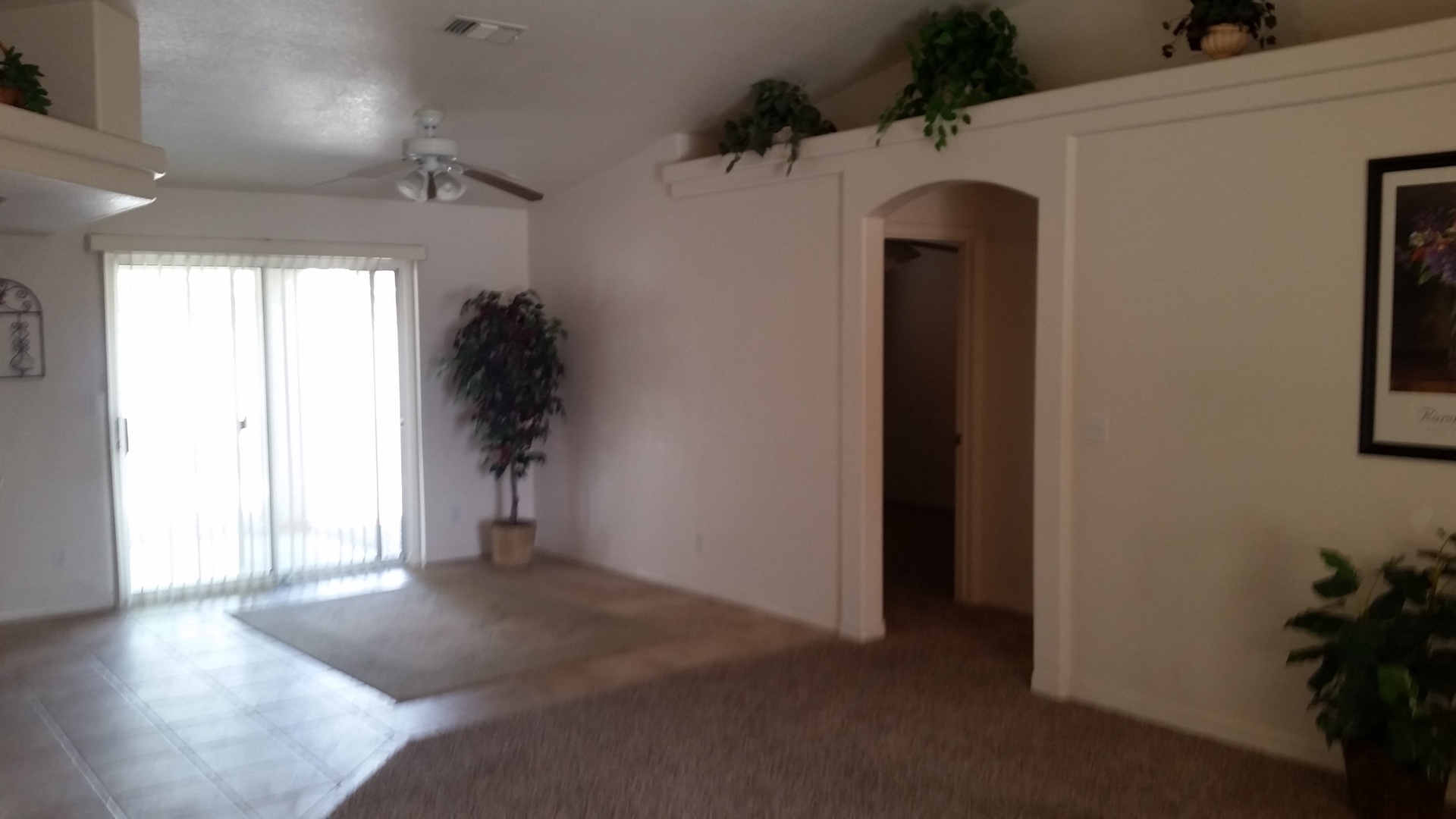 0290 Pascaul Lane Lake Havasu City AZ 86403 - Photo 2