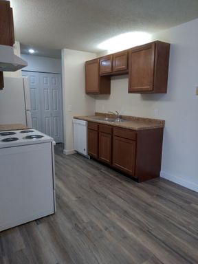 Bright 1 bedroom with walk out