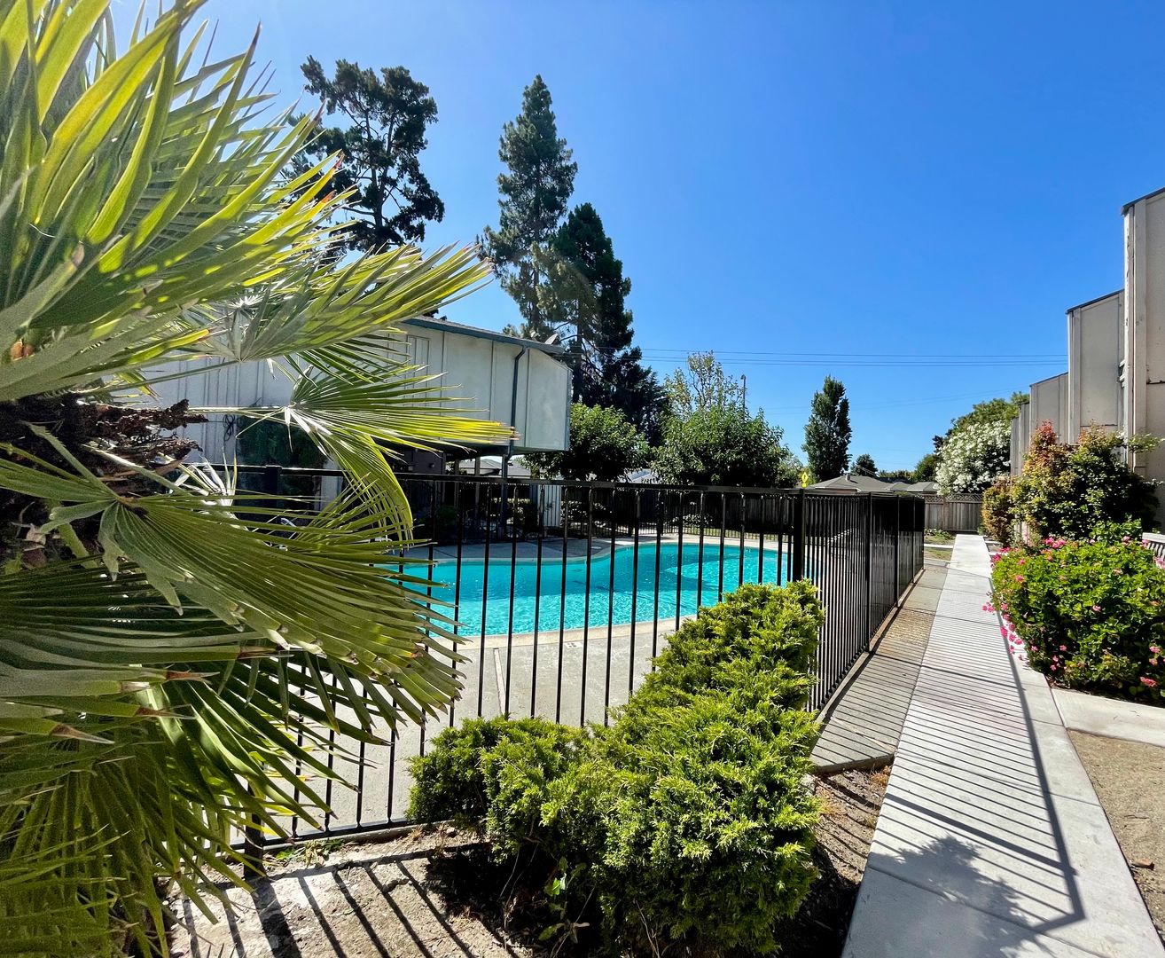 Santa Clara Apartment: 565 Saratoga Avenue