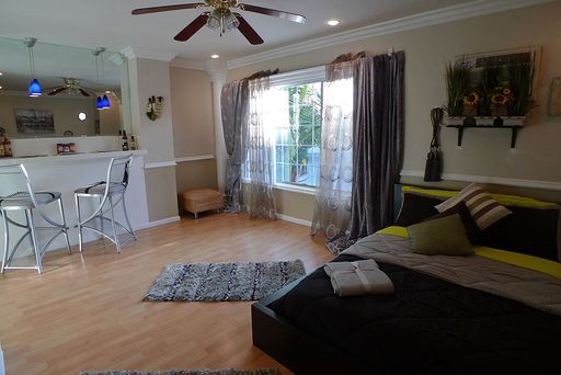 Deluxe Single/Studio Apt with full kitchen, full Bath & ample closet space – photo 1