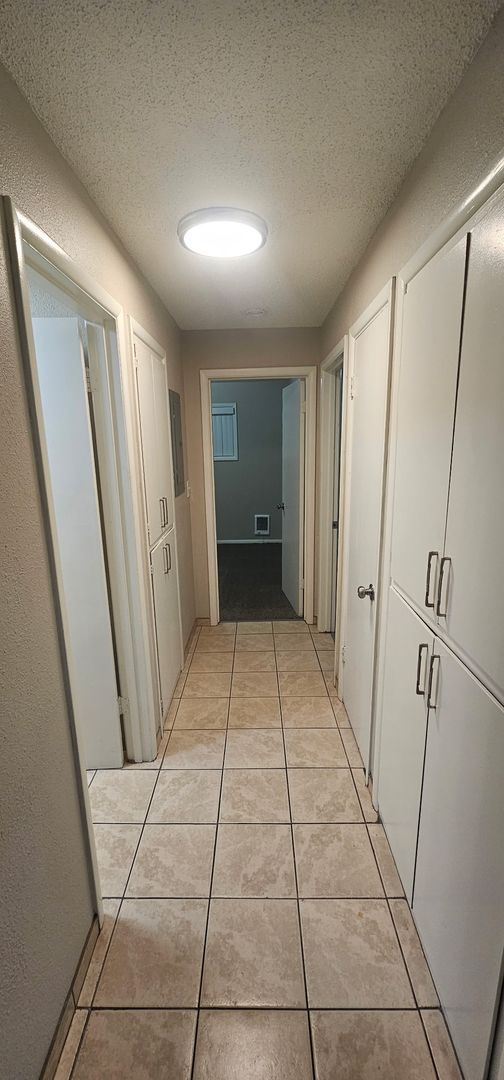 Albany Apartment: 719 19th Ave