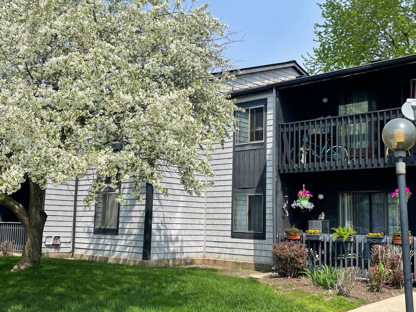 Sycamore Apartment: 1117 S Cross St. Office