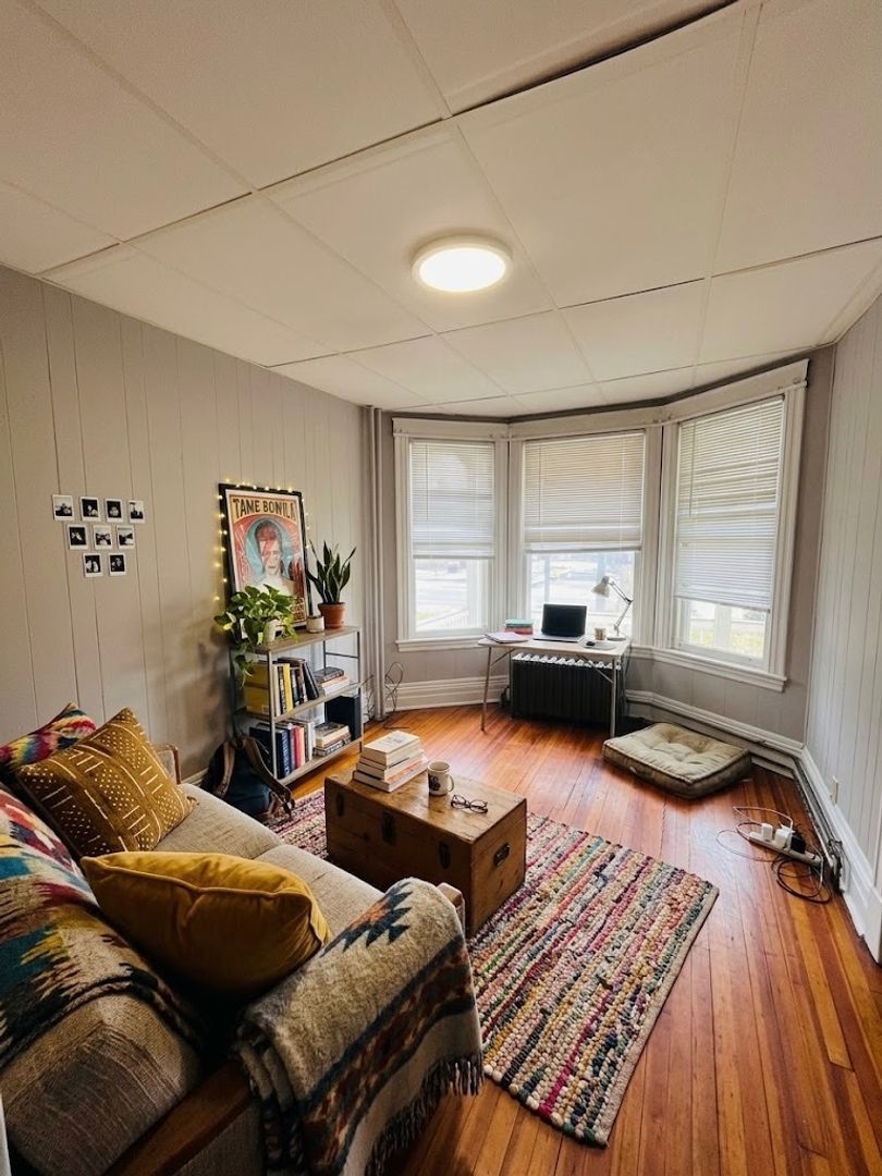 Albany Apartment: 223 Western Ave