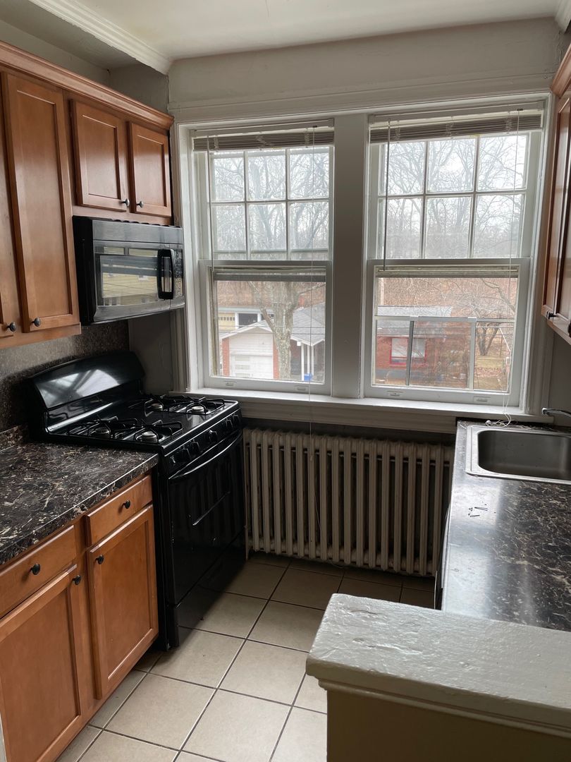 Albany Apartment: 284 South Allen St