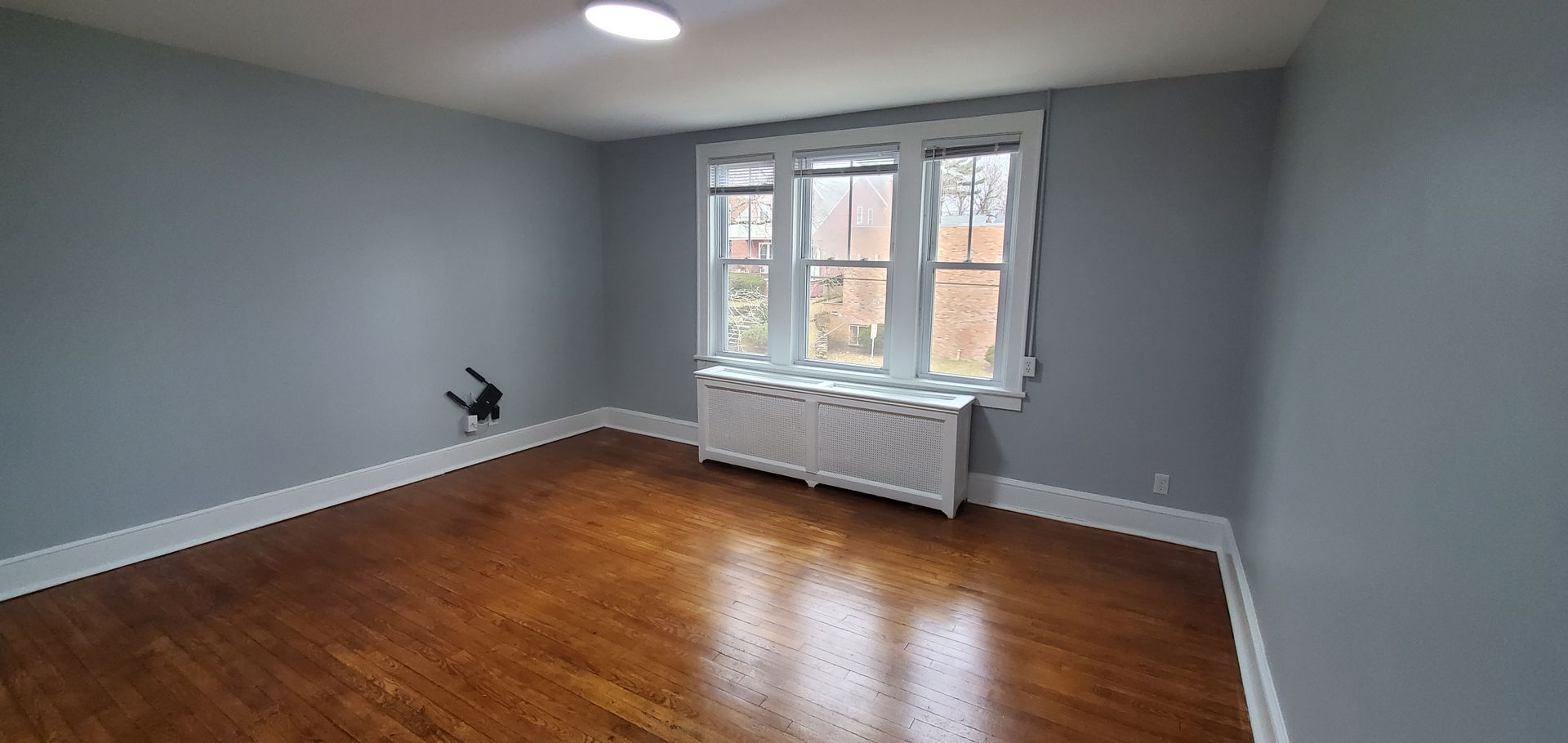 Albany Apartment: 271 South Allen St