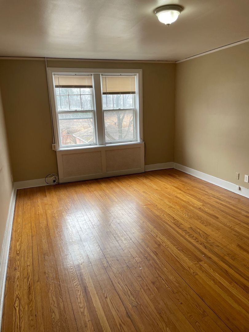 Albany Apartment: 284 South Allen St