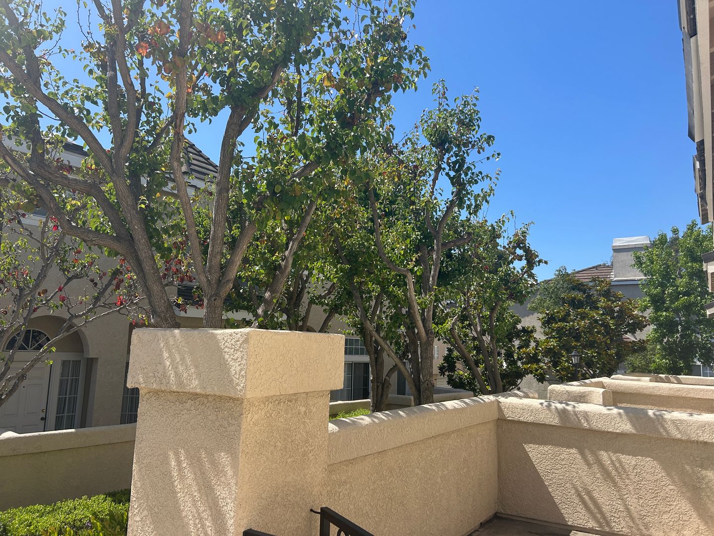 Torrance House: 2300 Maple Ave #74