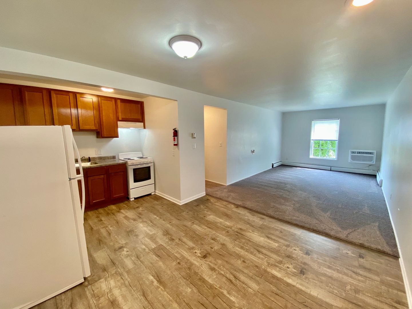 Ypsilanti Apartment: 504 St. Johns