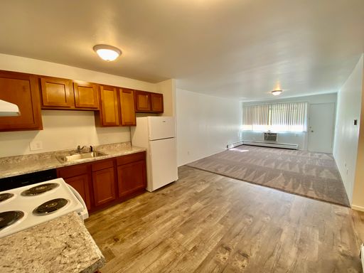 514 Emmet St - 4, Ypsilanti, MI 48197