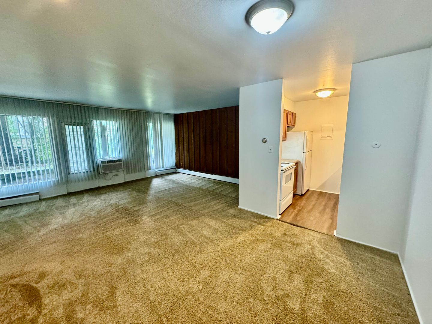 Ypsilanti Apartment: 913 Washtenaw Ave