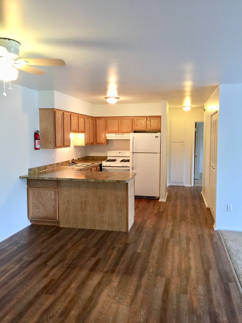 Ypsilanti Apartment: 1573 S. Congress St