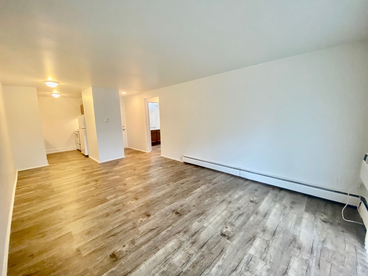 Ypsilanti Apartment: 311 Jarvis St.