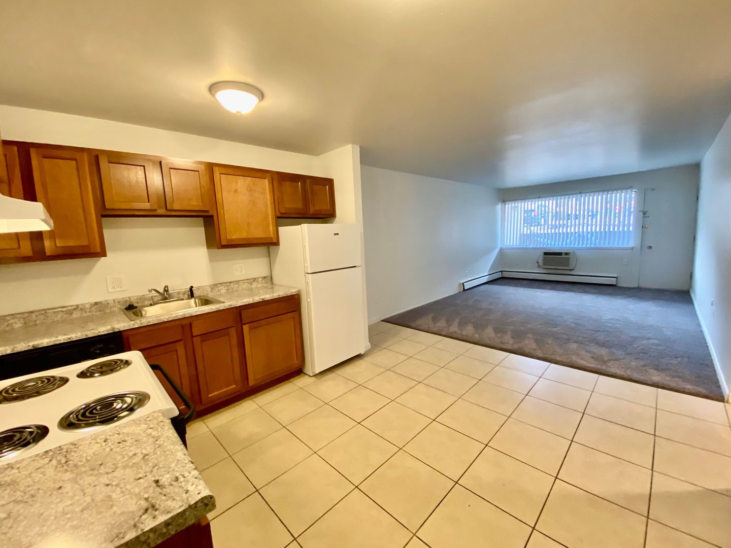 Ypsilanti Apartment: 514 Emmet St