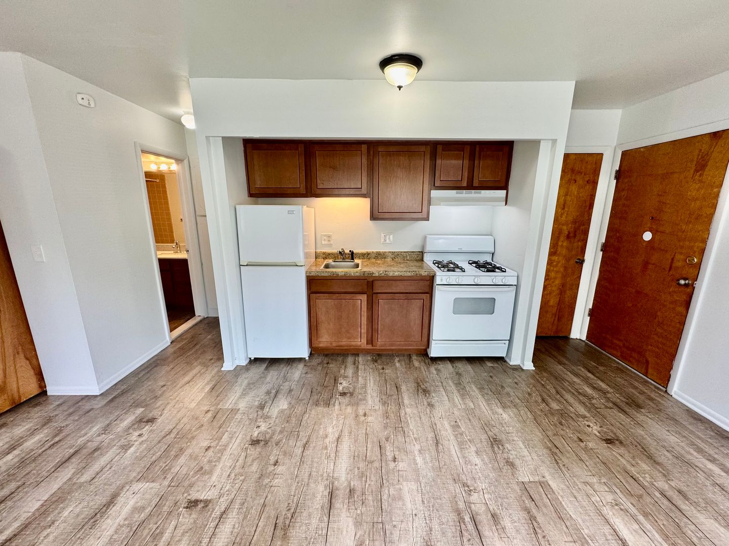 Ypsilanti Apartment: 1573 S. Congress St