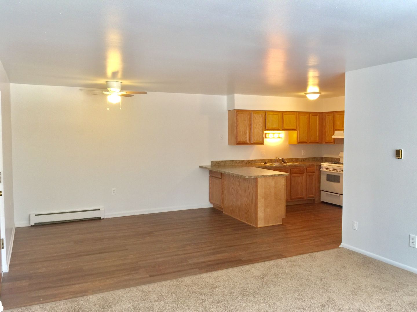 Ypsilanti Apartment: 1573 S. Congress St