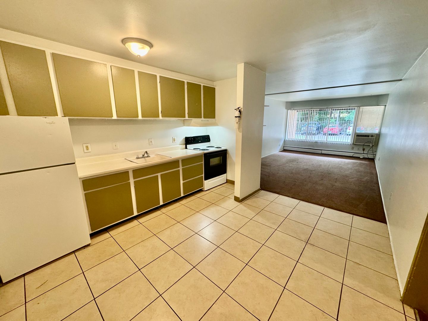 Ypsilanti Apartment: 311 Jarvis St.