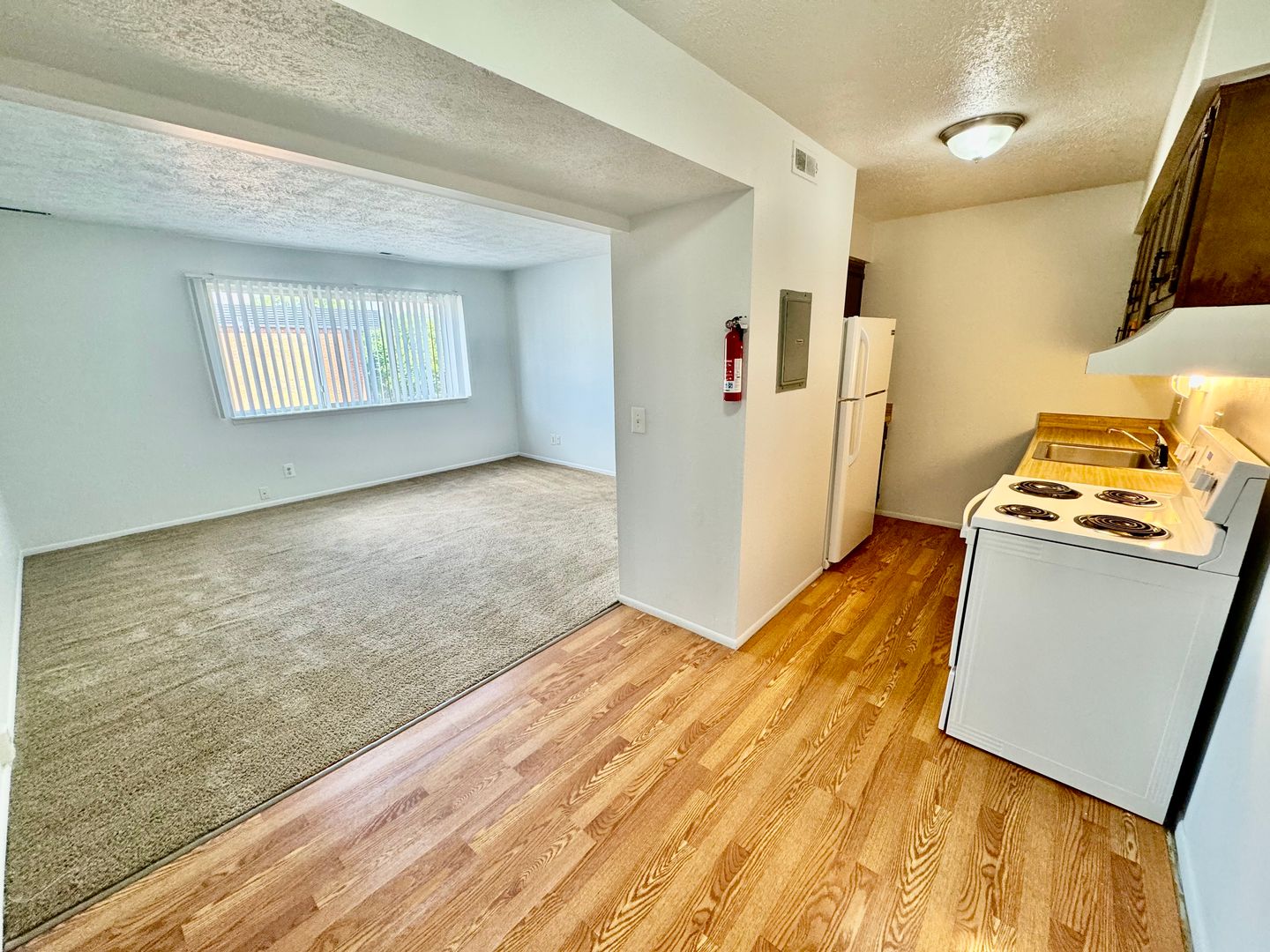 Ypsilanti Apartment: 308 Jarvis St.