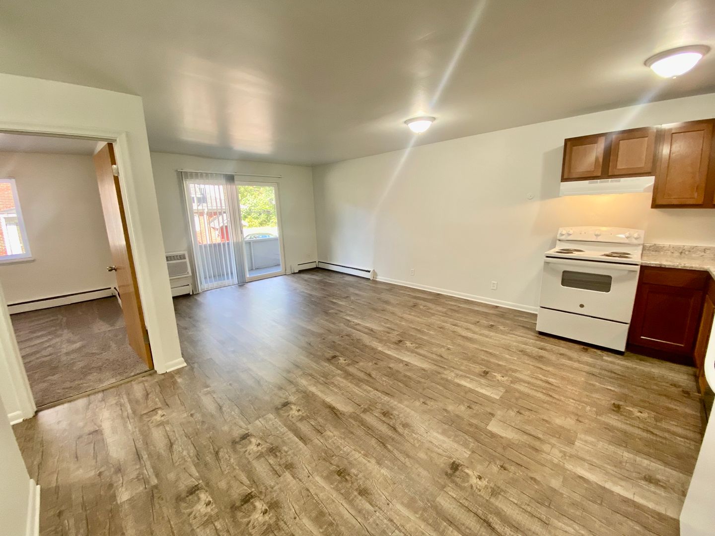 Ypsilanti Apartment: 510 N. Congress St