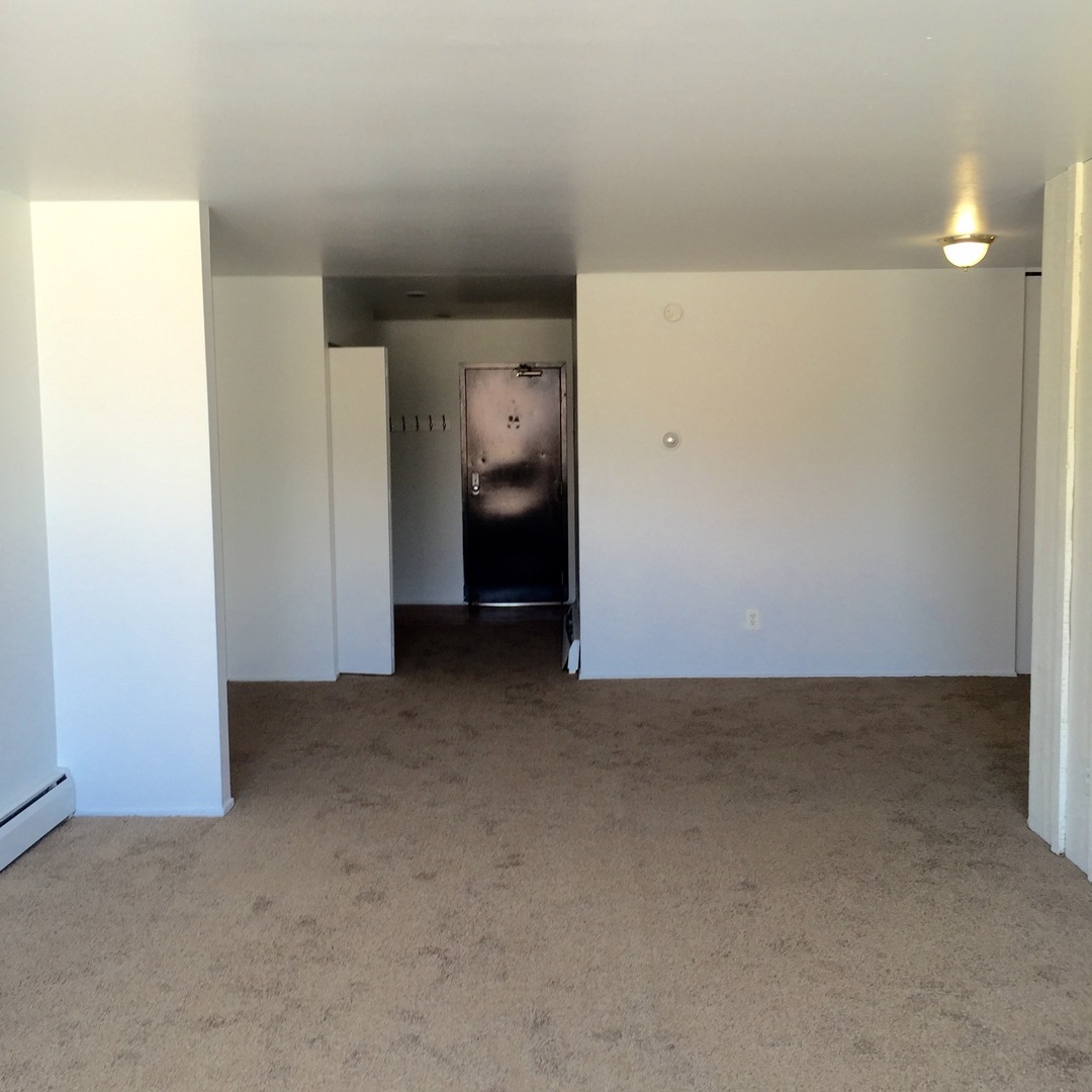 Ypsilanti Apartment: 913 Washtenaw Ave