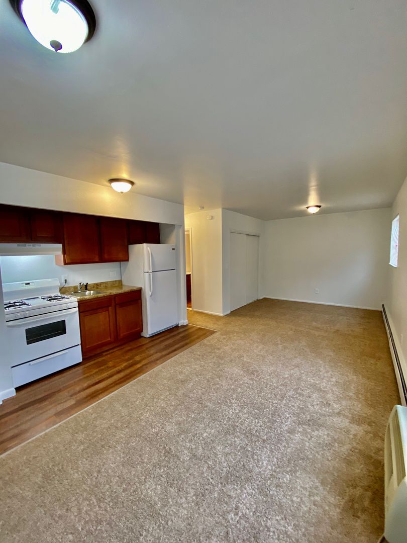 Ypsilanti Apartment: 1573 S. Congress St