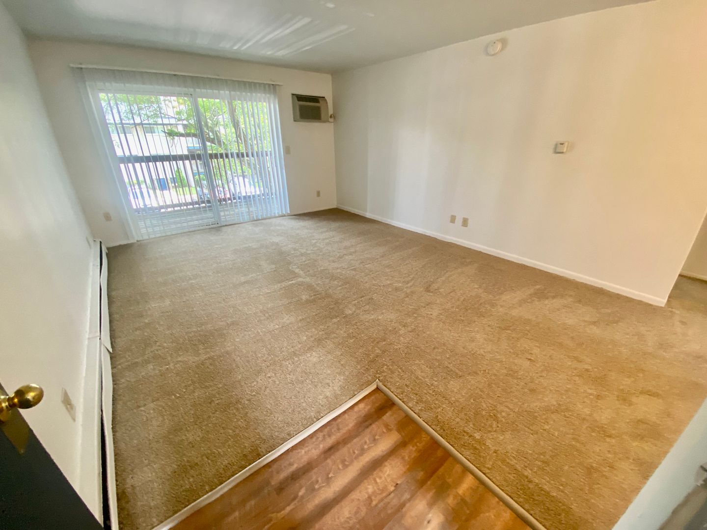 Ypsilanti Apartment: 1117 Lathers