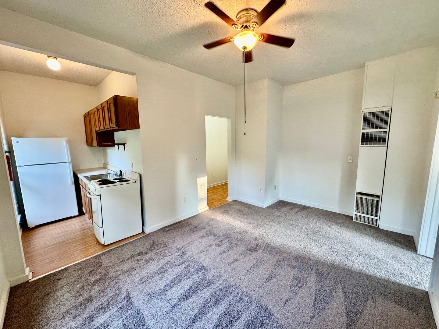 Ypsilanti Apartment: 213 N. Hamilton St