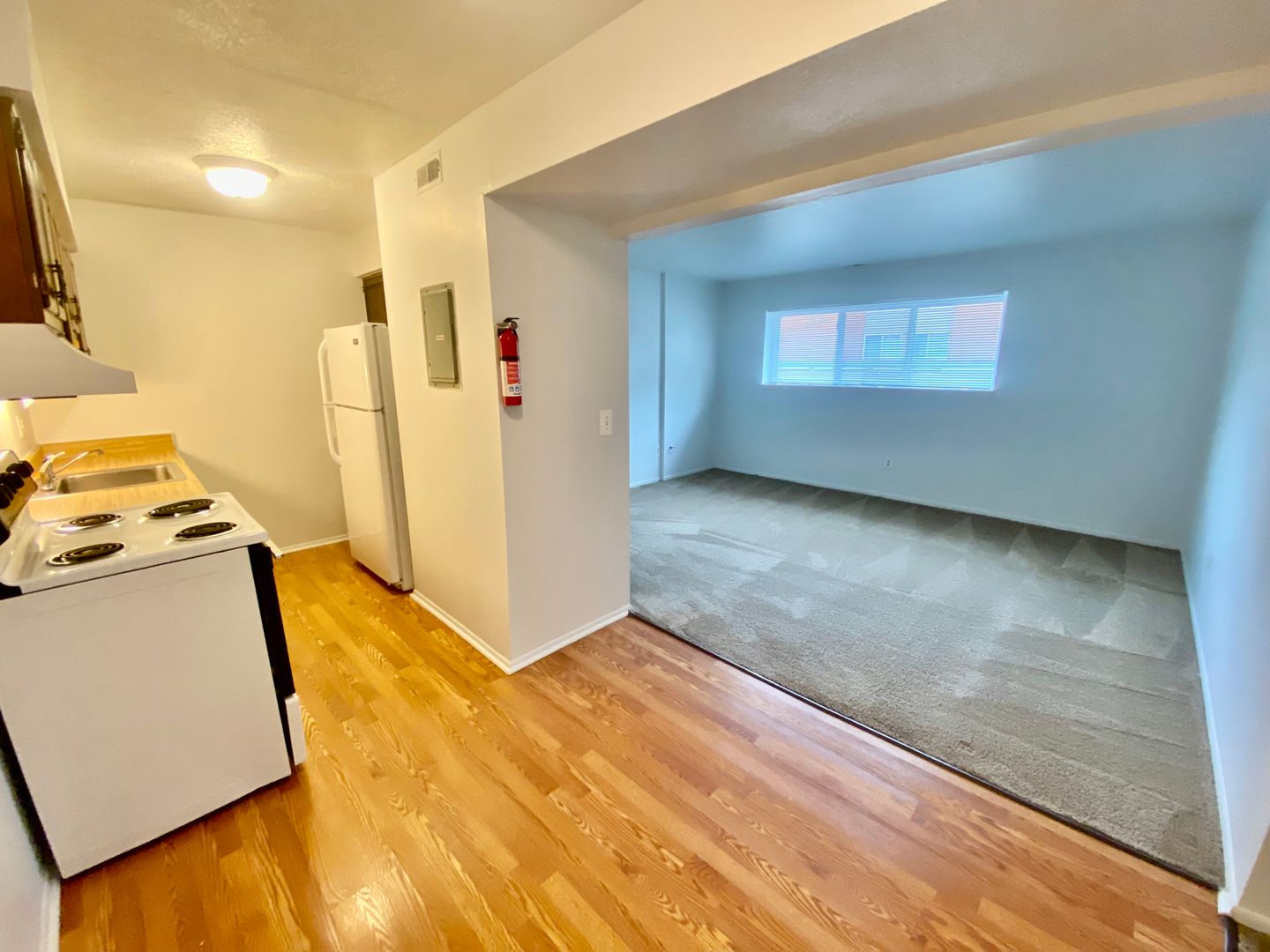 Ypsilanti Apartment: 308 Jarvis St.