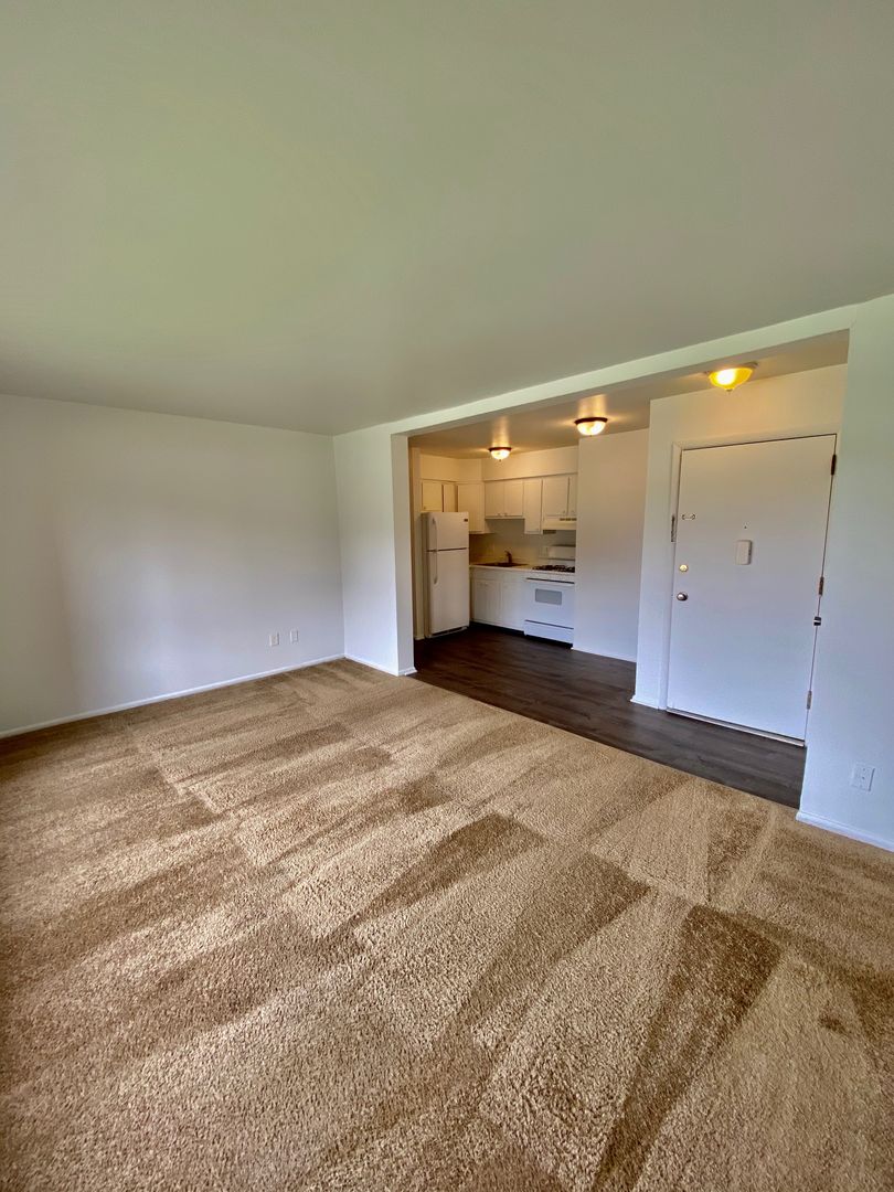Ypsilanti Apartment: 1573 S. Congress St
