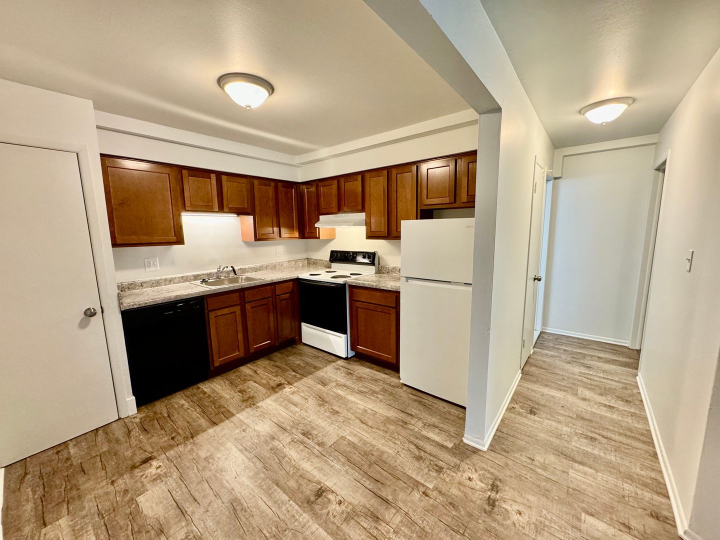 Ypsilanti Apartment: 1117 Lathers