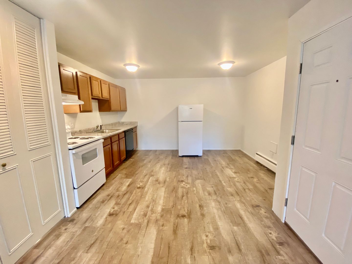 Ypsilanti Apartment: 514 Emmet St