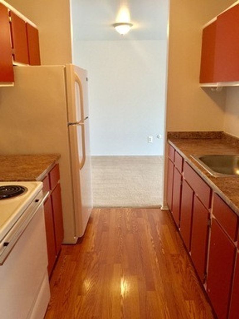 Ypsilanti Apartment: 334 Jarvis