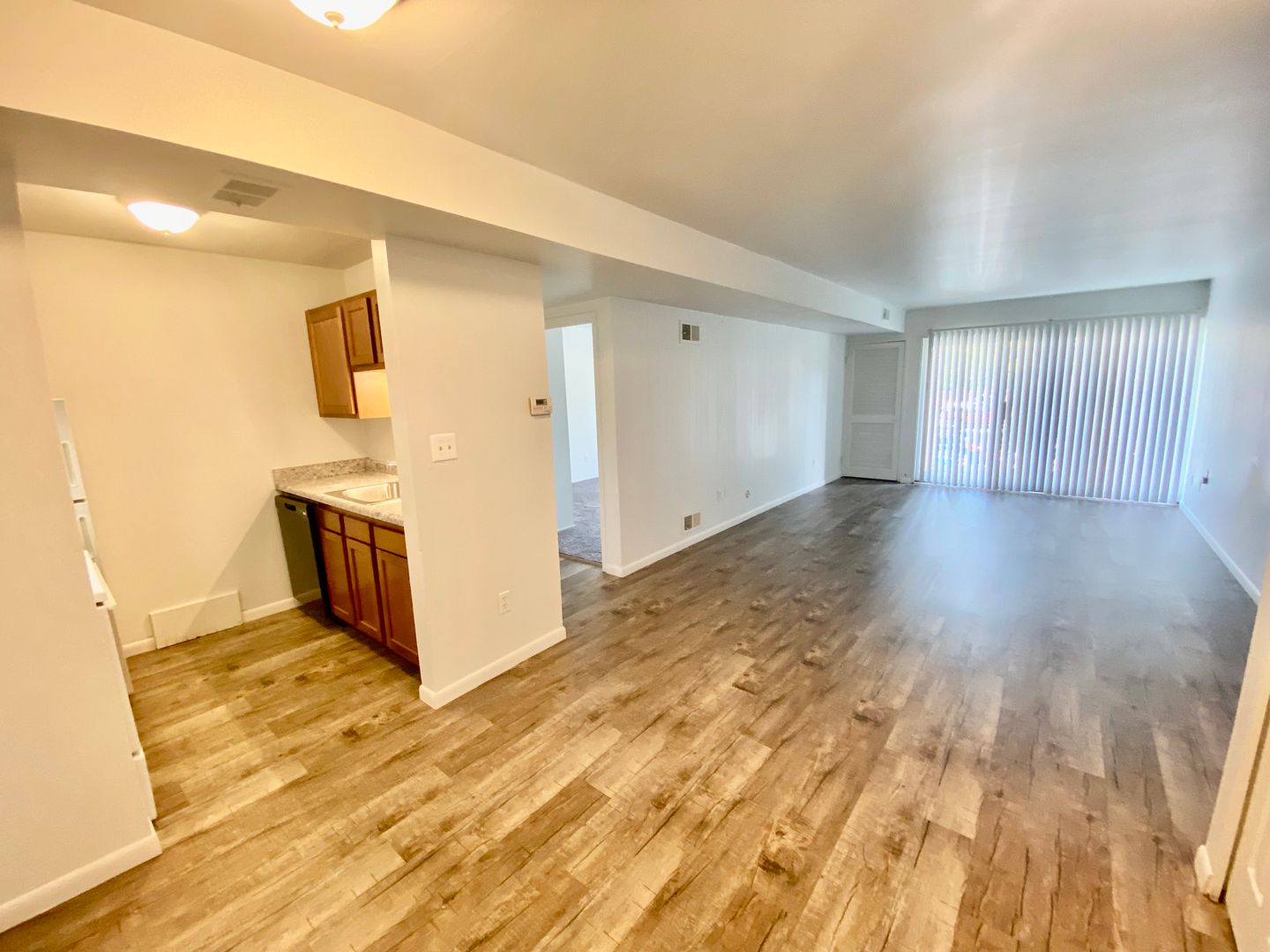 Ypsilanti Apartment: 334 Jarvis