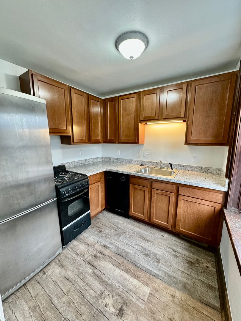 Ypsilanti Apartment: 213 N. River St