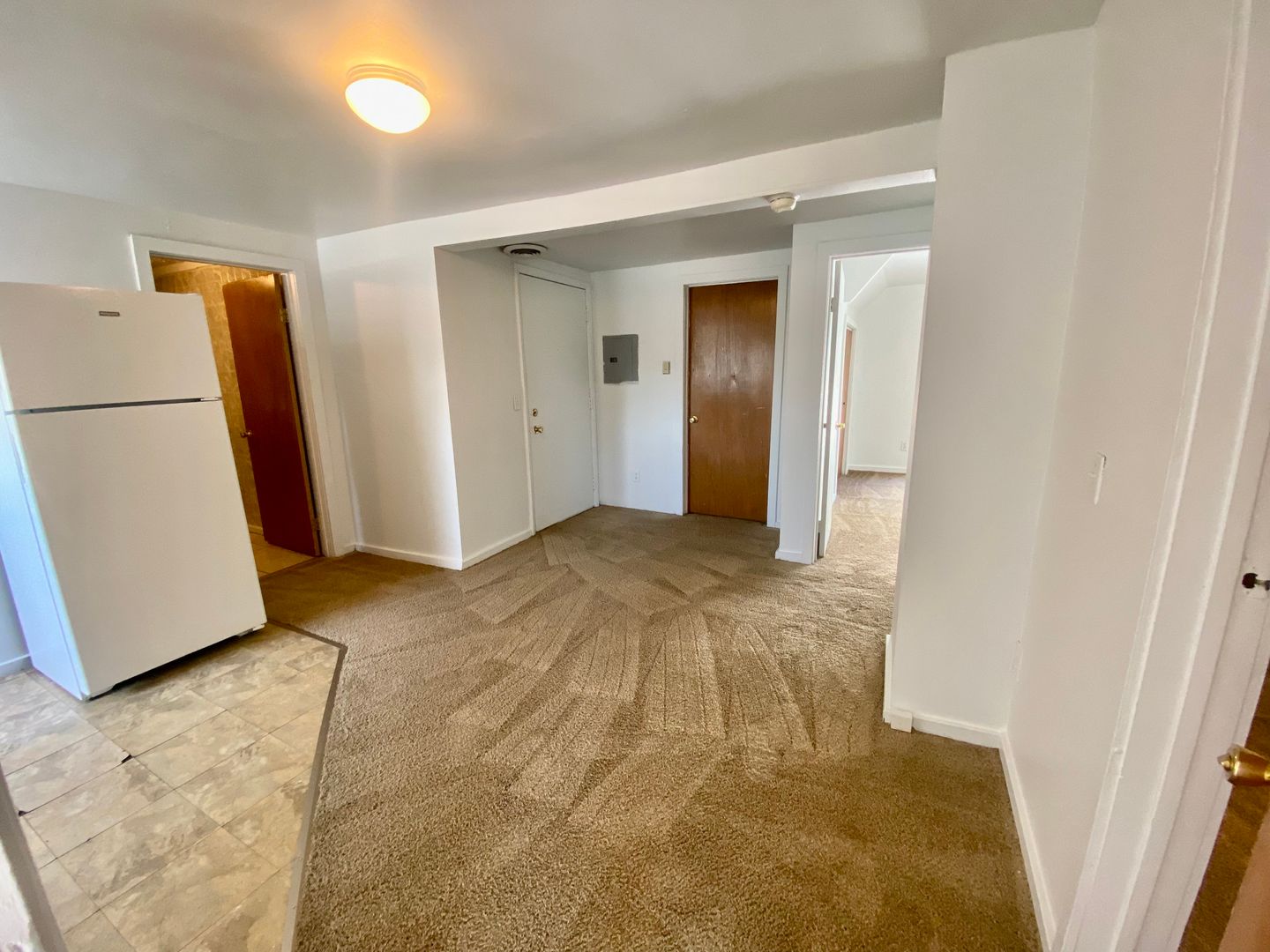Ypsilanti Apartment: 603 W. Cross St