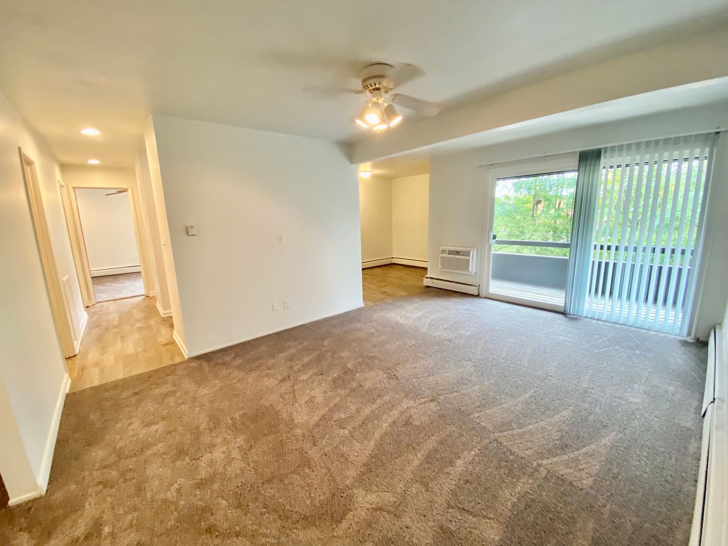 Ypsilanti Apartment: 311 Jarvis St.