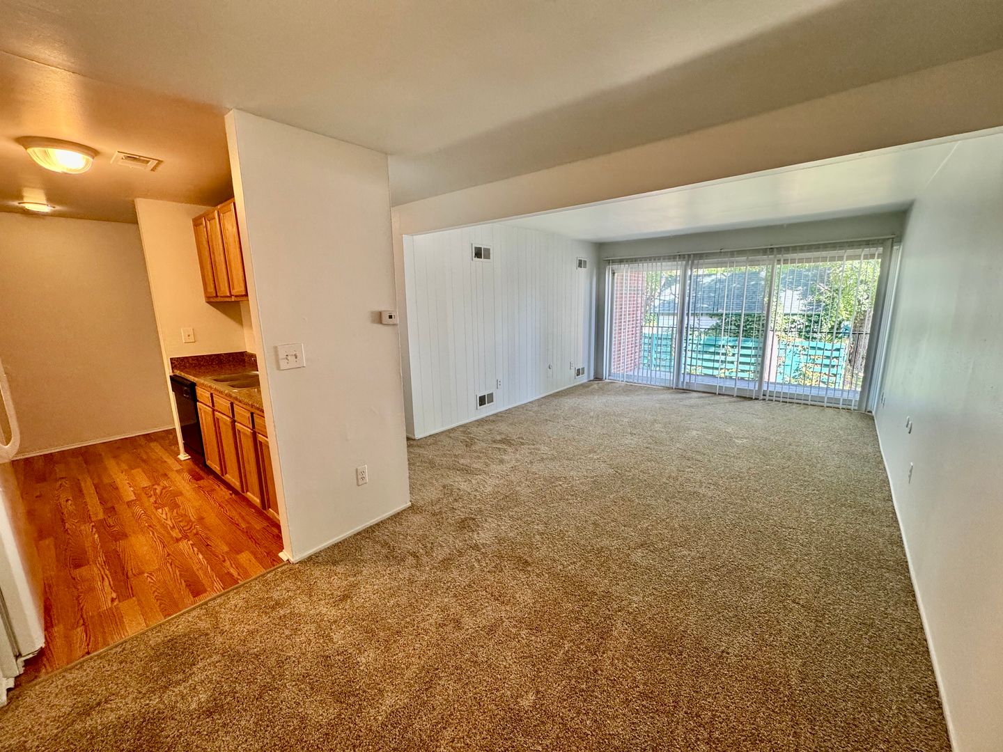 Ypsilanti Apartment: 334 Jarvis