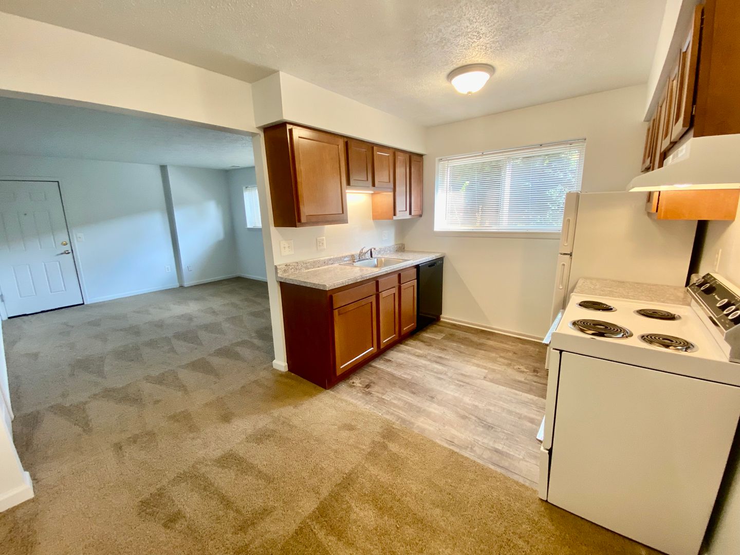 Ypsilanti Apartment: 308 Jarvis St.