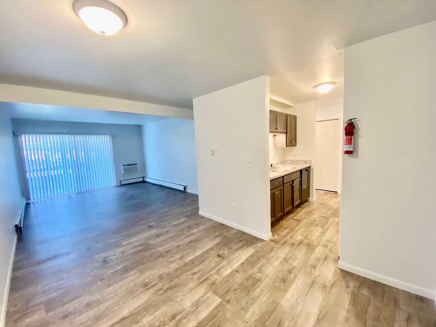 Ypsilanti Apartment: 311 Jarvis St.