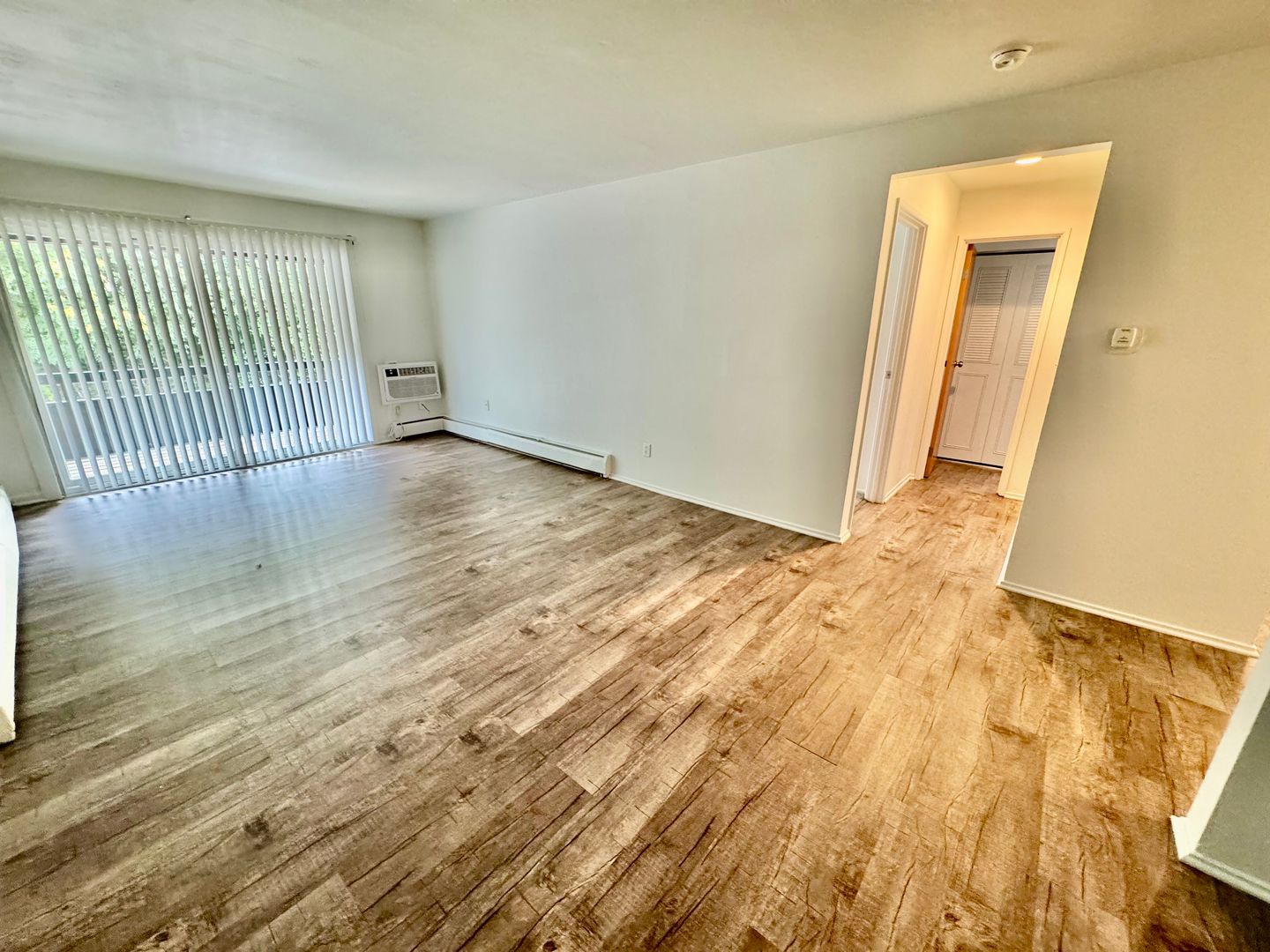 Ypsilanti Apartment: 311 Jarvis St.