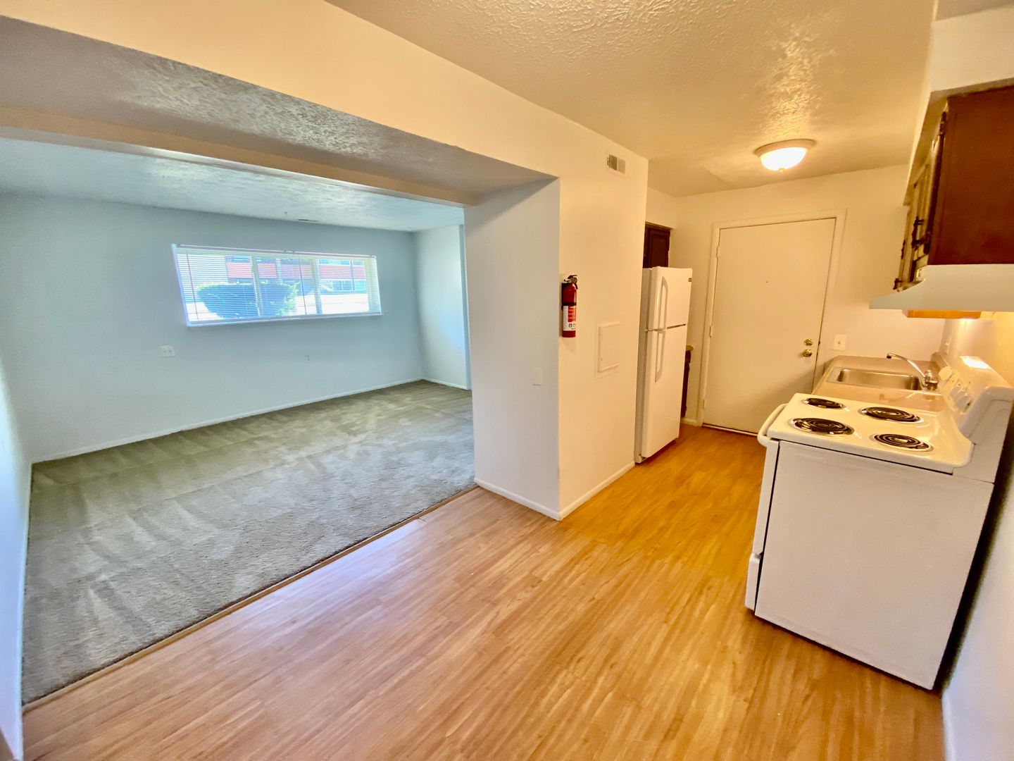 Ypsilanti Apartment: 308 Jarvis St.