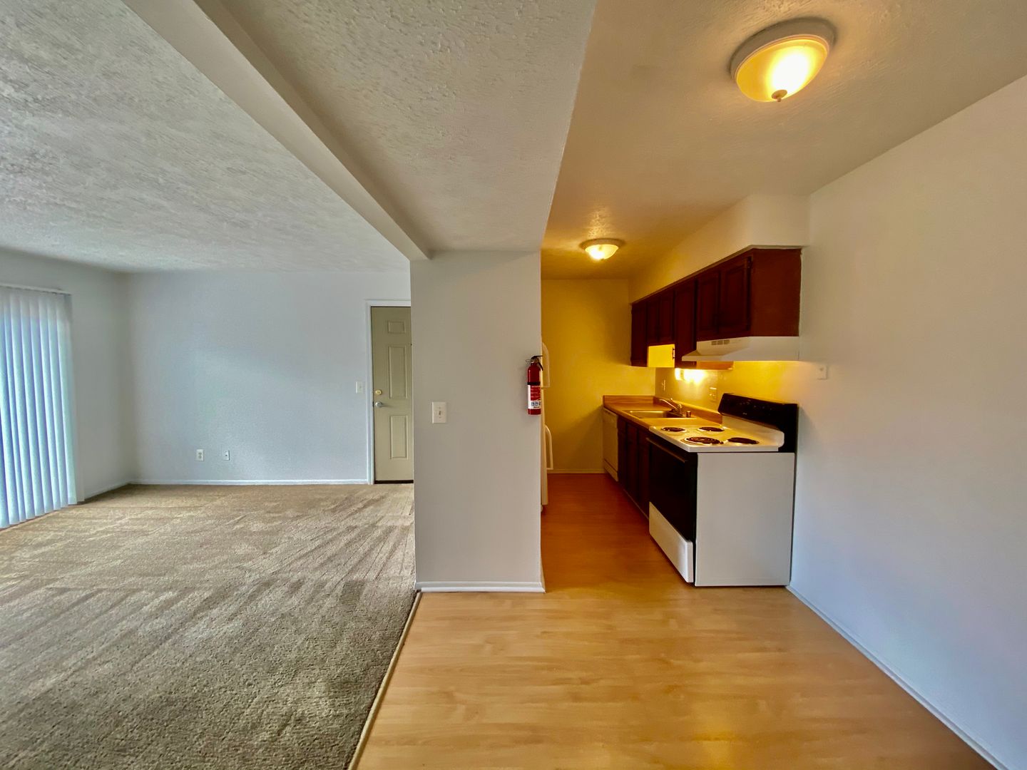 Ypsilanti Apartment: 308 Jarvis St.